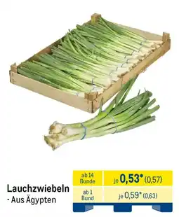 METRO Lauchzwiebeln Angebot