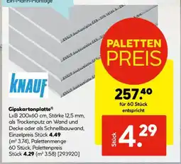 Hellweg KNAUF Gipskartonplatte Angebot