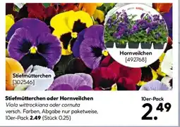 Hellweg Stiefmütterchen oder Hornveilchen 10er-Pack Angebot