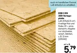 Hellweg OSB 3 EN 300-Verlegeplatte Angebot