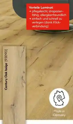 Hellweg Laminatboden,,Basic" Angebot
