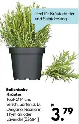 Hellweg italienische Kräuter Angebot