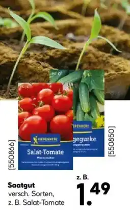 Hellweg Saatgut Angebot