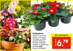 Hellweg Frühlingsboten Topf-9 cm Angebot