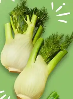 Kaufland Ital. Fenchel, lose Angebot