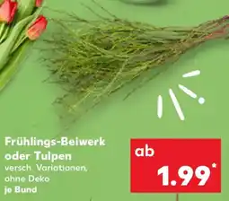 Kaufland Frühlings-Beiwerk oder Tulpen Angebot