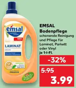 Kaufland EMSAL Bodenpflege Angebot