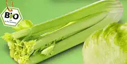 PENNY NATURGUT Bio-Staudensellerie Angebot