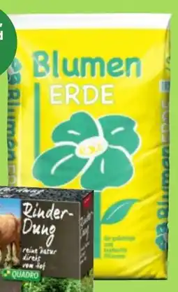 Thomas Philipps Blumenerde Angebot