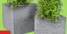 Thomas Philipps Pflanztopf ,,Kubus" Angebot