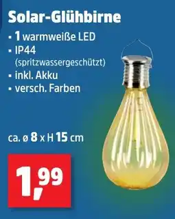 Thomas Philipps Solar-Glühbirne Angebot