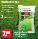Thomas Philipps Vertikutier-Mix Angebot