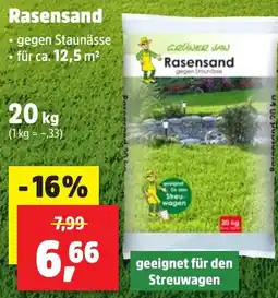 Thomas Philipps Rasensand GRÜNER JAN Angebot