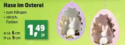 Thomas Philipps Hase im Osterei Angebot
