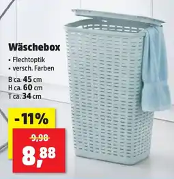 Thomas Philipps Wäschebox Angebot