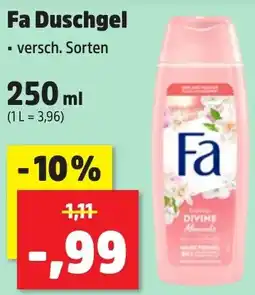 Thomas Philipps Fa Duschgel Angebot