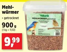 Thomas Philipps Mehlwürmer Angebot