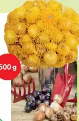 Wiglo Wunderland Stuttgarter Riesen Angebot