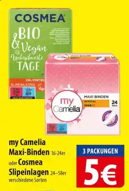 Famila Nord Ost my Camelia oder Cosmea Angebot