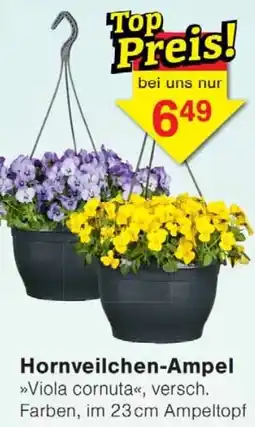 Wiglo Wunderland Hornveilchen-Ampel Angebot