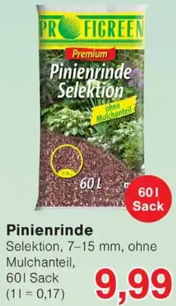 Wiglo Wunderland Pinienrinde Angebot