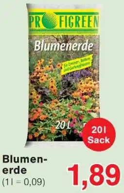 Wiglo Wunderland Blumenerde Angebot