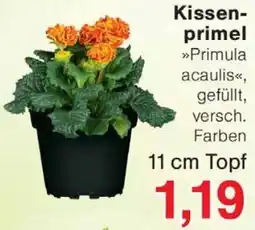 Wiglo Wunderland Kissenprimel Angebot