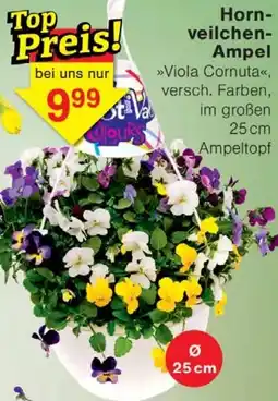 Wiglo Wunderland Hornveilchen Ampel Angebot