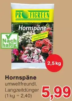 Wiglo Wunderland Hornspäne Angebot