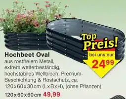 Wiglo Wunderland Hochbeet Oval Angebot