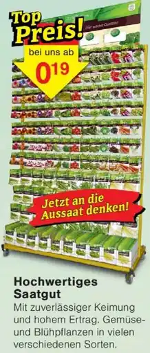 Wiglo Wunderland Hochwertiges Saatgut Angebot