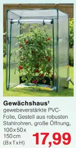 Wiglo Wunderland Gewächshaus Angebot
