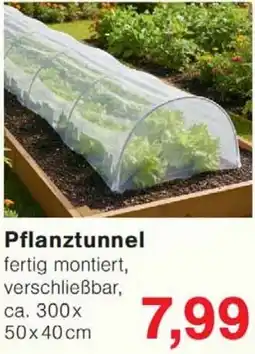 Wiglo Wunderland Pflanztunnel Angebot