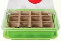 Wiglo Wunderland Anzuchthaus Angebot