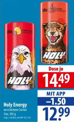 Famila Nord Ost Holy Energy Angebot