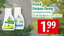 Famila Nord Ost Frosch Flecken-Zwerg Angebot