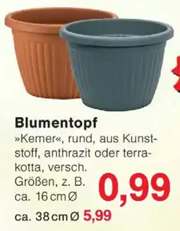 Wiglo Wunderland Blumentopf Angebot