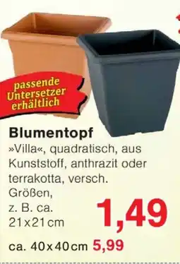 Wiglo Wunderland Blumentopf Angebot