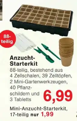 Wiglo Wunderland Anzucht Starterkit Angebot