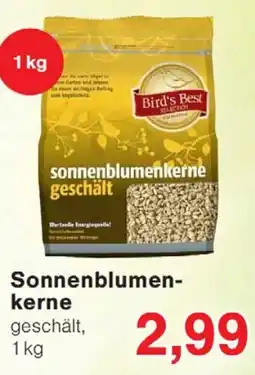 Wiglo Wunderland Bird's Best sonnenblumenkerne Angebot