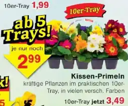 Jawoll Kissen Primeln Angebot