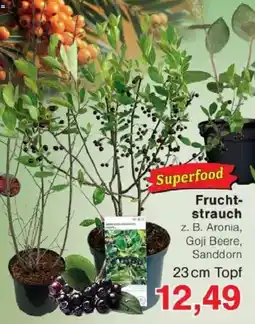 Jawoll Frucht strauch Angebot