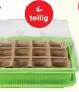 Jawoll Anzuchthaus Angebot