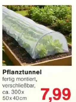 Jawoll Pflanztunnel Angebot