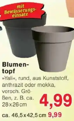 Jawoll Blumen topf Angebot