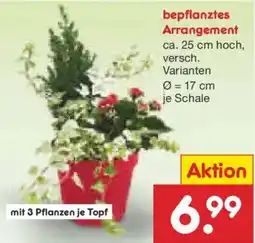 Netto Marken-Discount bepflanztes Arrangement Angebot