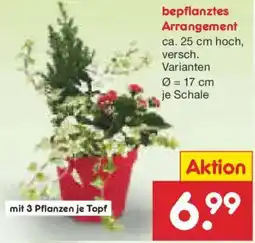 Netto Marken-Discount bepflanztes Arrangement Angebot