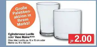 Famila Nord West Cylindervase Lucille Oder Vase Maine Angebot