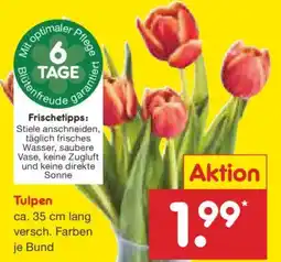 Netto Marken-Discount Tulpen Angebot