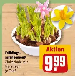 REWE Frühlings-arrangement Angebot